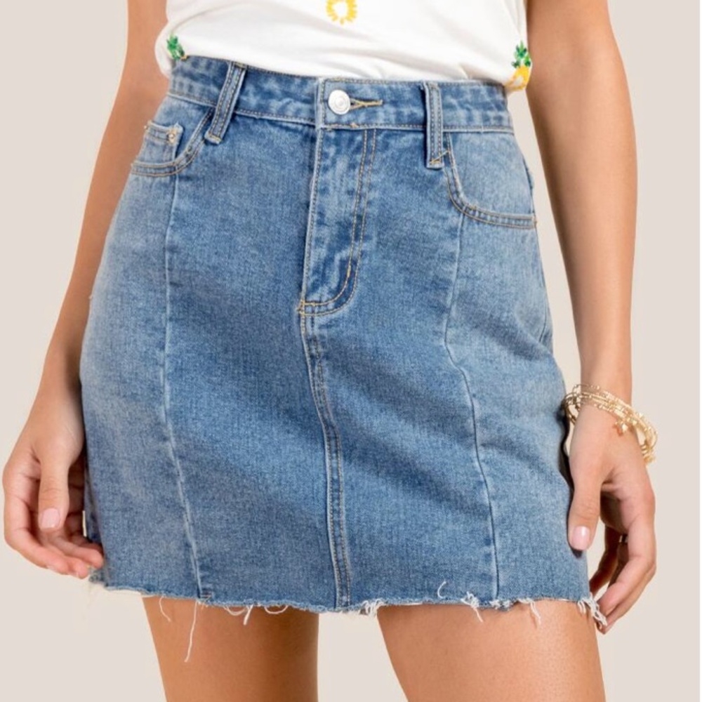 Francesca’s Jean skirt
